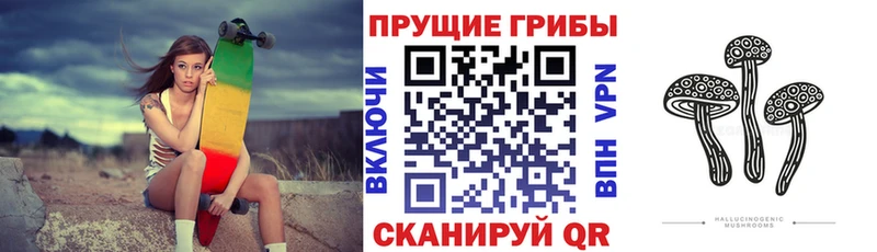 Галлюциногенные грибы мицелий  цены наркотик  Иноземцево 
